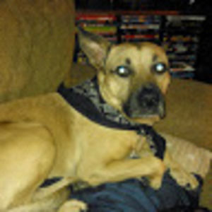 Meet your Posher, Elisabeth